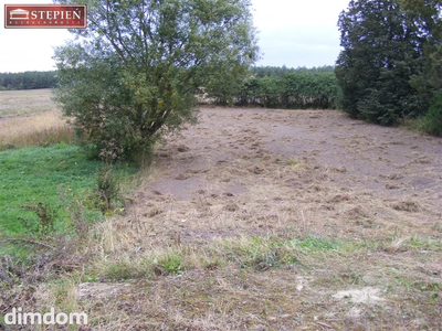Działa blisko Jeziora  Śniardwy - 3