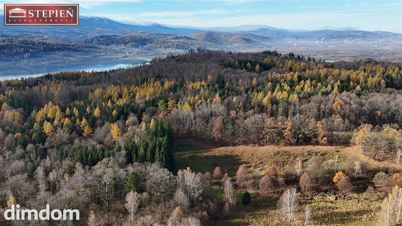Działka budowlana – 1,11 ha | Staniszów - dd_1aa802a1_zs_GS-28383-1_1.jpg
