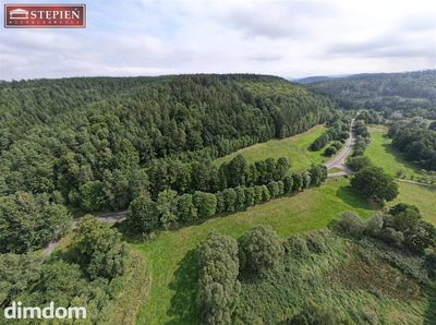 NA SPRZEDAŻ - teren inwestycyjny 2,99 ha, Łupki, gmina Wleń, woj. dolnośląskie