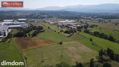 Świetna inwestycja na kilka lat. - 5