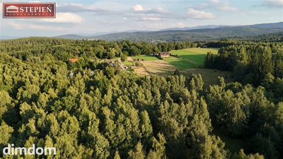 Ucieknij od świata - wyjątkowa działka 3,1 ha z lasem w Antoniowie! - 4
