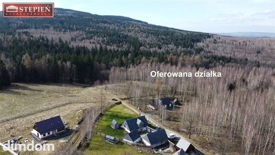 Ucieknij od świata - wyjątkowa działka 3,1 ha z lasem w Antoniowie! - 2