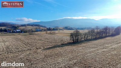 OFERTA SPRZEDAŻY - DZIAŁKI O POW. 12 000 m² - 5