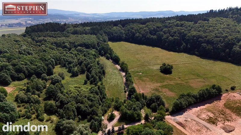 Wyjątkowa nieruchomość gruntowa o powierzchni 5,6661 ha - Przedwojów, gmina Kamienna Góra - dd_1aa802a1_zs_GS-29055_1.jpg