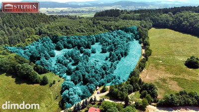 Wyjątkowa nieruchomość gruntowa o powierzchni 5,6661 ha - Przedwojów, gmina Kamienna Góra - 2