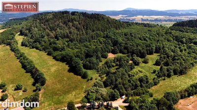 Wyjątkowa nieruchomość gruntowa o powierzchni 5,6661 ha - Przedwojów, gmina Kamienna Góra - 3