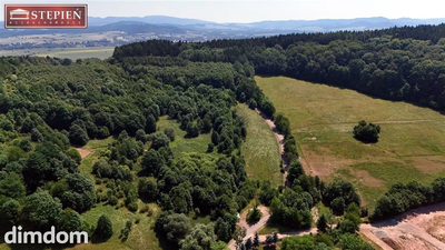 Wyjątkowa nieruchomość gruntowa o powierzchni 5,6661 ha - Przedwojów, gmina Kamienna Góra - 4