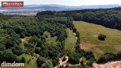 Wyjątkowa nieruchomość gruntowa o powierzchni 5,6661 ha - Przedwojów, gmina Kamienna Góra - 5
