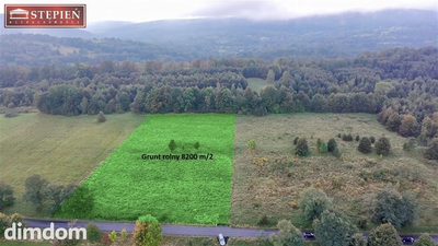 Działka rolna 8200 m² - cisza i przestrzeń w sercu Pogórza Izerskiego - 2