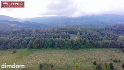 Działka rolna 8200 m² - cisza i przestrzeń w sercu Pogórza Izerskiego - 3