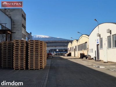 Hala produkcyjno-magazynowa 1269,42 m² na sprzedaż - Kowary - 3