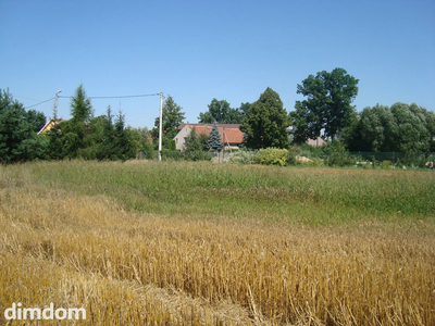 Kształtna, ustawna działka budowlana, położona pośrodku urokliwej wsi Szymanów,