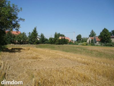 Kształtna, ustawna działka budowlana, położona pośrodku urokliwej wsi Szymanów, - 3