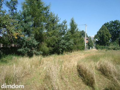 Kształtna, ustawna działka budowlana, położona pośrodku urokliwej wsi Szymanów, - 5