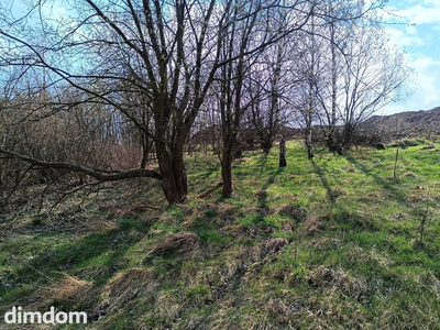 Do sprzedania działka budowlana w miejscowości Gostków (15 km od Wałbrzycha i Szczawna Zdroju) Warunki zabudowy wydane na dom jednorodzinny, ale ze względu na położenie-  niedaleko  do drogi   drogi… - 4