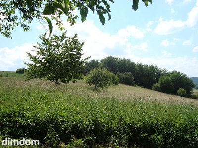 Oferuję do sprzedaży pięknie położoną działkę budowlaną objętą miejscowym planem zagospodarowania przestrzennego. Cicha i spokojna okolica, wśród nielicznej zabudowy jednorodzinnej. Przepiękne widoki… - 4