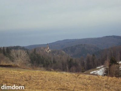 Oferuję do sprzedaży budynek wolnostojacy położony w malowniczej okolicy Zagórza Śląskiego, w miejscowości Niedźwiedzica. Nieruchomość położona na działce 0,36 ha. Parter - przewidziany na działalnoś…