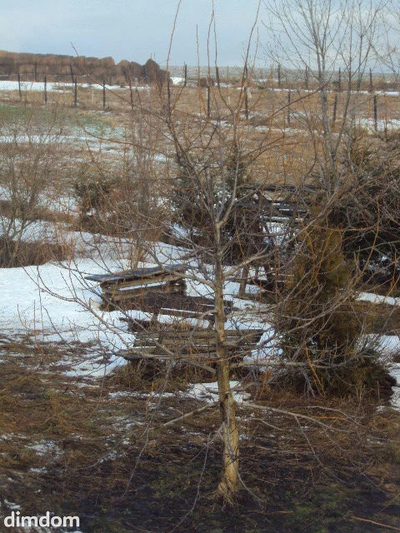 Oferuję do sprzedaży budynek wolnostojacy położony w malowniczej okolicy Zagórza Śląskiego, w miejscowości Niedźwiedzica. Nieruchomość położona na działce 0,36 ha. Parter - przewidziany na działalnoś… - 4