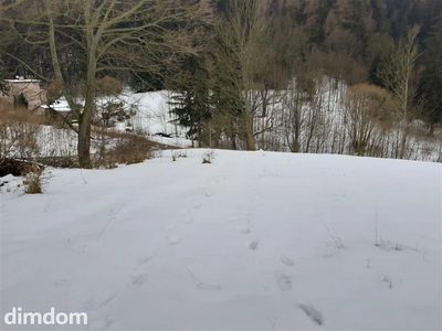 Do sprzedaży malownicza  działka położona w pobliżu Sokołowska w strefie ciszy A.Wokół nieliczna zabudowa,piękne tereny spacerowe,blisko las , kilka  km do granicy czeskiej. Działka ze skarpą, wymaga… - 4