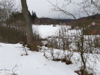 Do sprzedaży malownicza  działka położona w pobliżu Sokołowska w strefie ciszy A.Wokół nieliczna zabudowa,piękne tereny spacerowe,blisko las , kilka  km do granicy czeskiej. Działka ze skarpą, wymaga… - 2