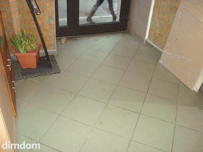 Lokal użytkowy w dużym ciągu pieszych. - 5
