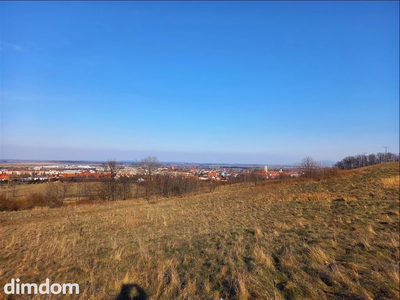 Oferuję do sprzedaży ostatnią działkę budowlaną z bezpośrednim dostępem do drogi gminnej. Działka z pięknym widokiem na panoramę miasta, położona na obrzeżach miasta i w otoczeniu lasu i terenów ziel…
