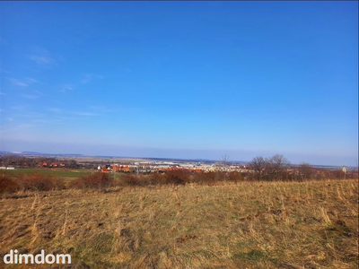 Oferuję do sprzedaży ostatnią działkę budowlaną z bezpośrednim dostępem do drogi gminnej. Działka z pięknym widokiem na panoramę miasta, położona na obrzeżach miasta i w otoczeniu lasu i terenów ziel… - 3