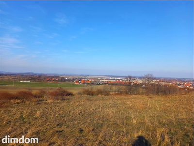 Oferuję do sprzedaży ostatnią działkę budowlaną z bezpośrednim dostępem do drogi gminnej. Działka z pięknym widokiem na panoramę miasta, położona na obrzeżach miasta i w otoczeniu lasu i terenów ziel… - 4