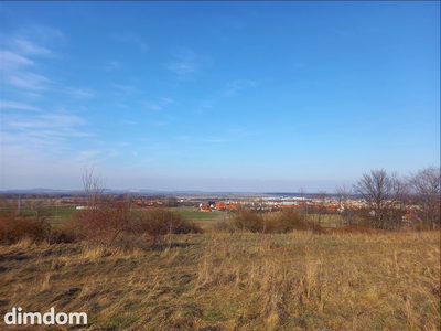 Oferuję do sprzedaży ostatnią działkę budowlaną z bezpośrednim dostępem do drogi gminnej. Działka z pięknym widokiem na panoramę miasta, położona na obrzeżach miasta i w otoczeniu lasu i terenów ziel… - 5