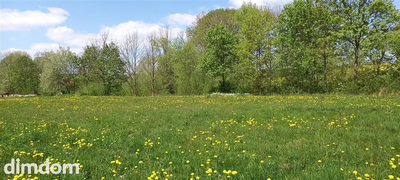 działka na sprzedaż - 5