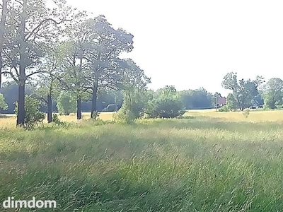 działka na sprzedaż - 5
