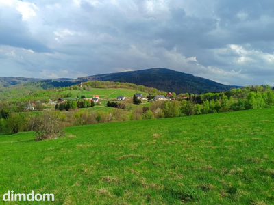 Działki pod lasem z panoramicznym  widokiem - 5