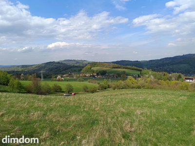 Działki pod lasem z panoramicznym  widokiem - 3