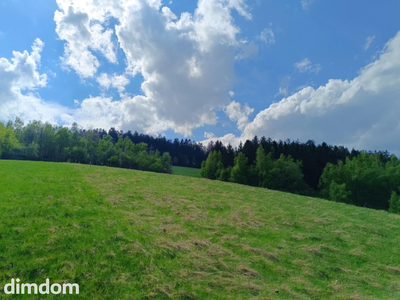 Działki pod lasem z panoramicznym  widokiem - 2