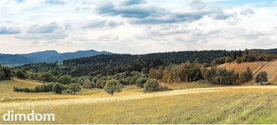 Widokowa Działka w Sierpnicy z warunkami zabudowy. - 3
