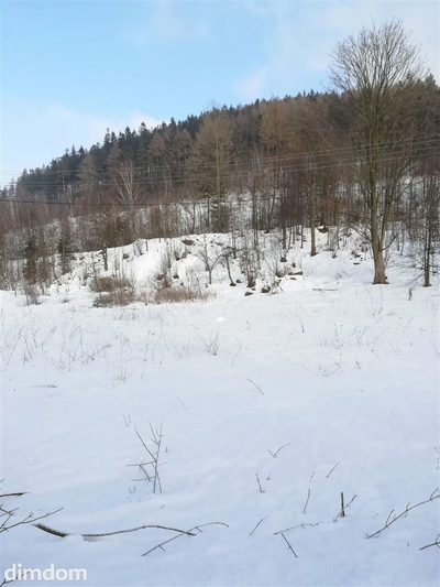 Działka na cele mieszkaniowe - Boguszów Gorce