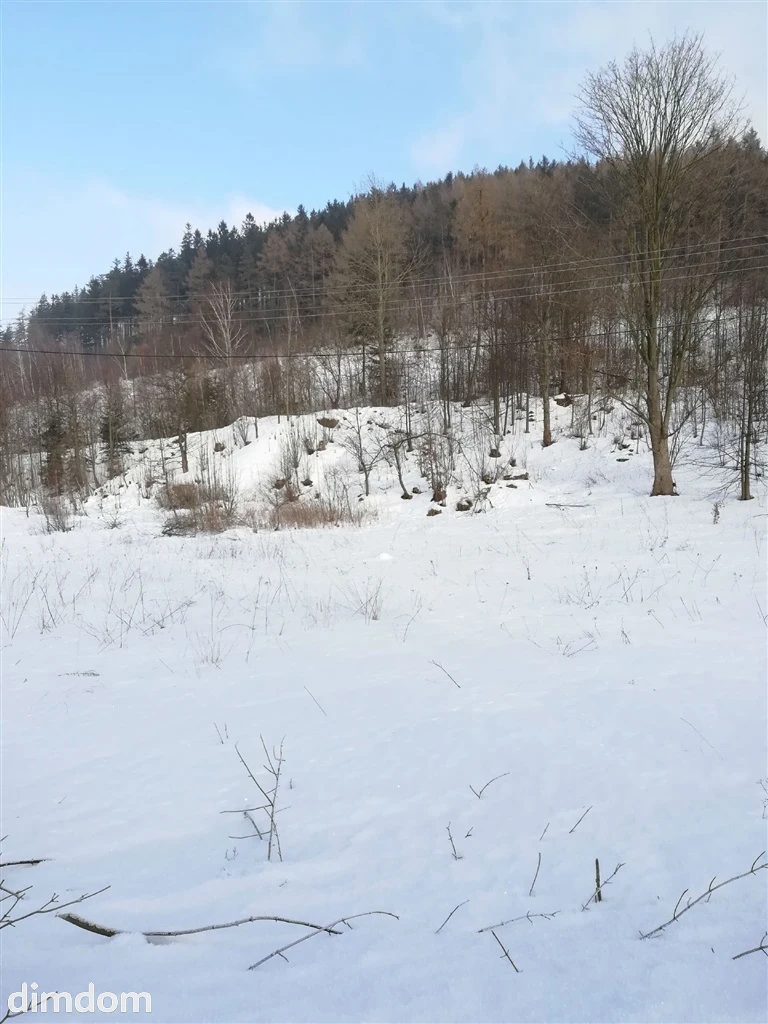 Działka na cele mieszkaniowe - Boguszów Gorce - 92750001.jpg