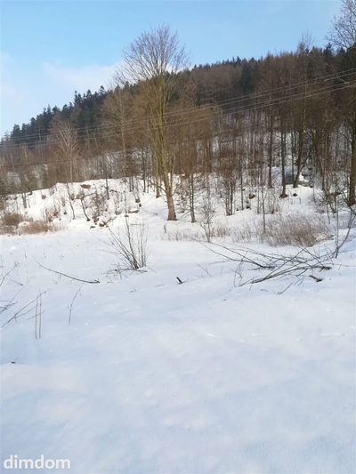 Działka na cele mieszkaniowe - Boguszów Gorce - 4