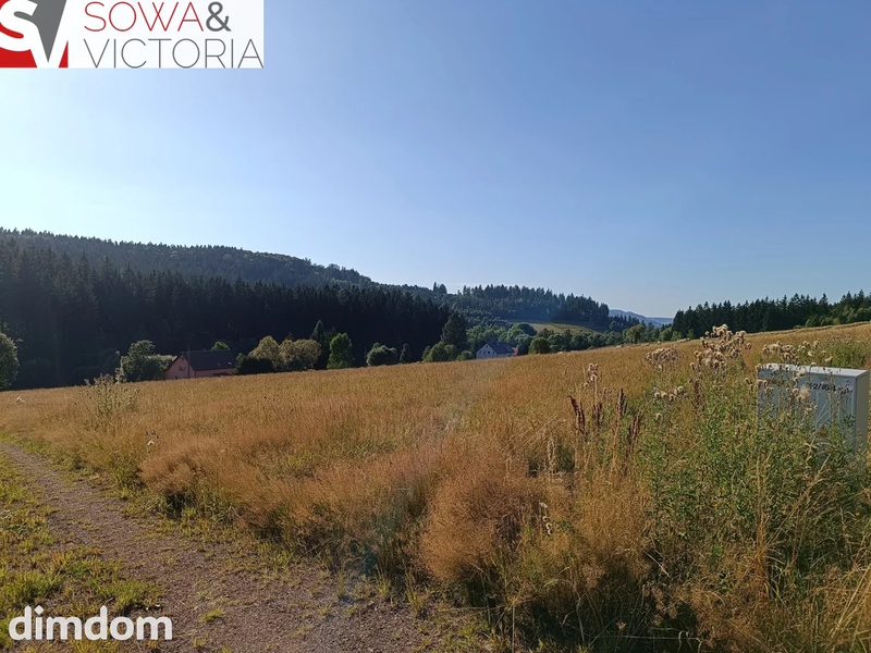 Widokowe działki w Górach Sowich - 107640797.jpg