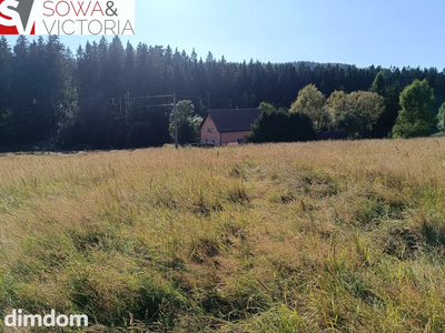 Widokowe działki w Górach Sowich - 2