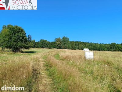 Widokowe działki w Górach Sowich - 4