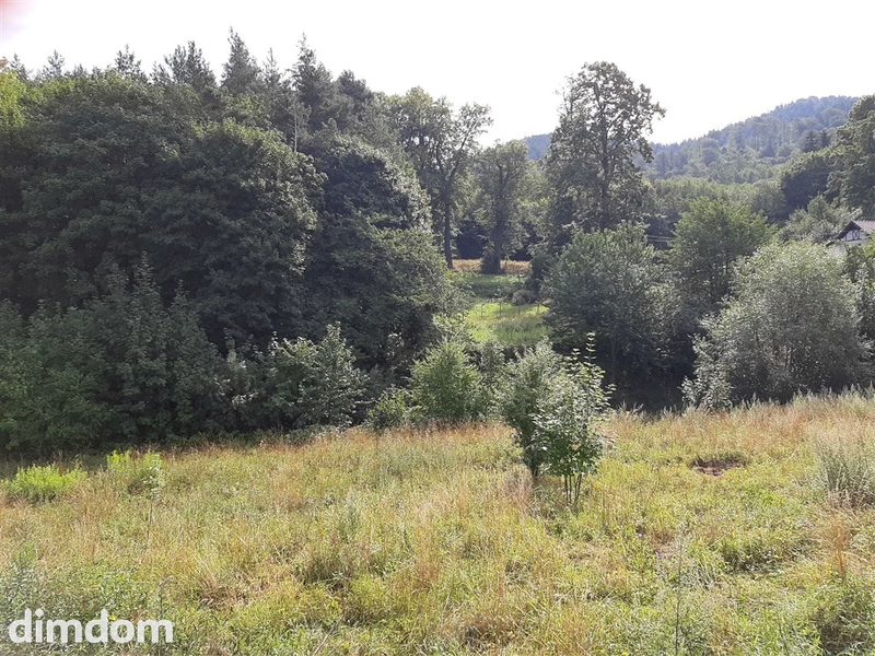 Do sprzedania działka budowlana położona w urokliwym, spokojnym zakątku Wałbrzycha, wśród gór, lasu  i nielicznej, niskiej zabudowy. - 92750996.jpg