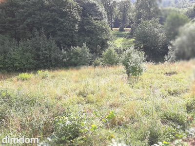 Do sprzedania działka budowlana położona w urokliwym, spokojnym zakątku Wałbrzycha, wśród gór, lasu  i nielicznej, niskiej zabudowy. - 2