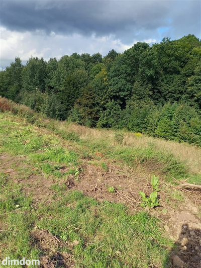 Do sprzedania działka budowlana położona w urokliwym, spokojnym zakątku Wałbrzycha, wśród gór, lasu  i nielicznej, niskiej zabudowy. - 3