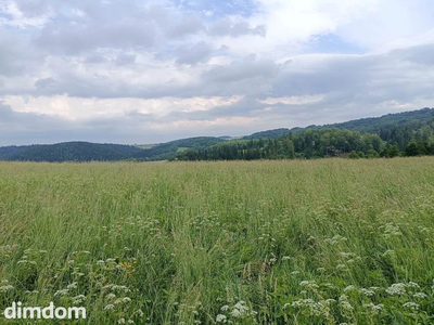 Mieszkaniowo-rolna   działka w Górach Sowich - 3