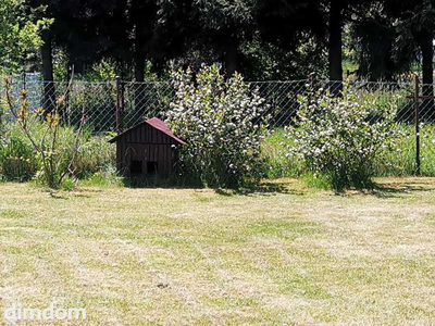 Do sprzedania dom o powierzchni 140m2 na działce 1400m2 w Dębrzniku - 4