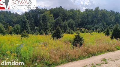 Piękna działka budowlana w Karkonoszach - 4