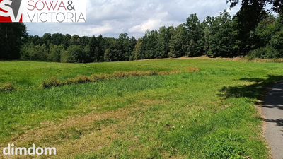 Piękna działka budowlana w Karkonoszach - 5