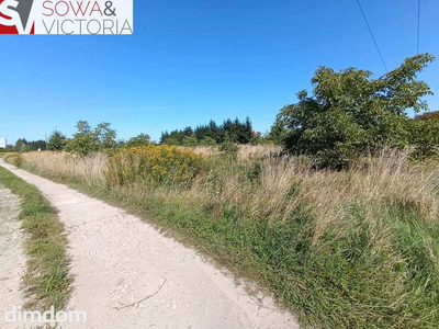 Działki budowlane Ciernie