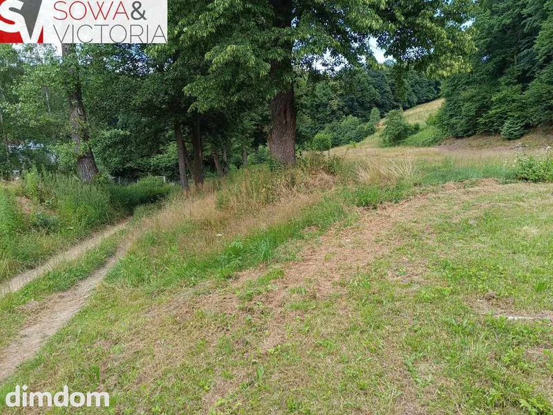 Działka rolna  z  lasem 4 km od Wałbrzycha - 94160546.jpg